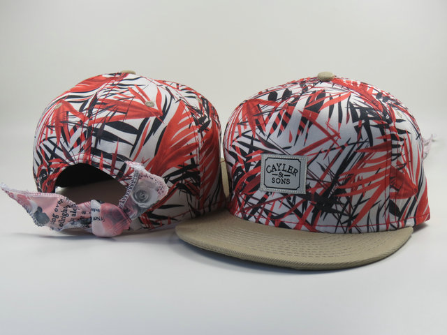 Cayler And Sons Strapback Hat #04